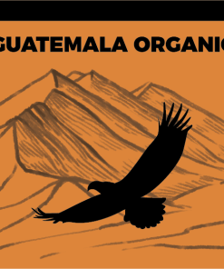 Borealis Guatemala Organic Coffee