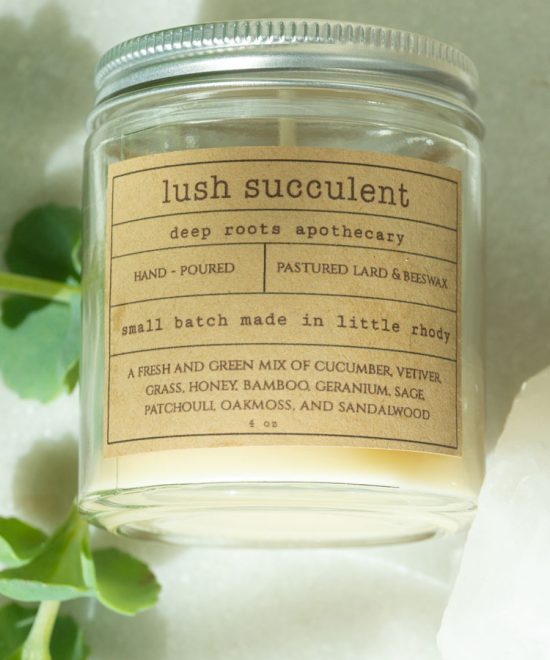 Lush Succulent Candle