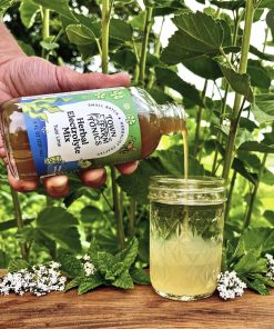 Town Farm Tonics Tulsi Lime Herbal Electrolyte Mix